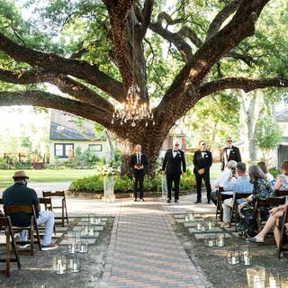 Wide ceremony aisle beneath the oak tree at Oak Tree Manor